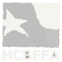 Houston Customs Brokers and Freight Forwarders Association